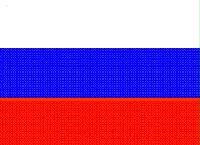 俄罗斯海关数据